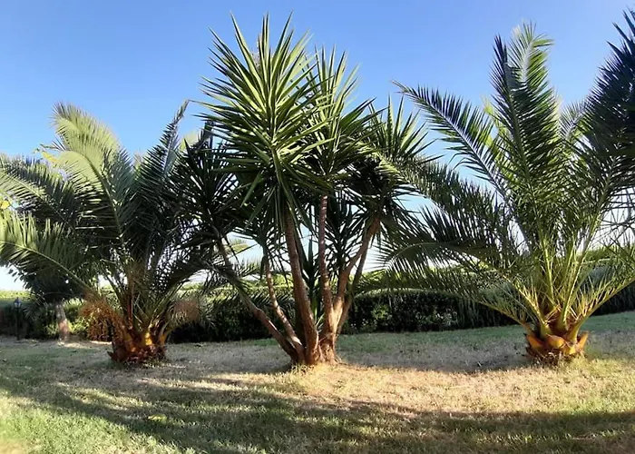 Martina Bed & Breakfast