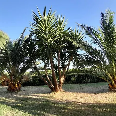 Martina לינה וארוחת בוקר